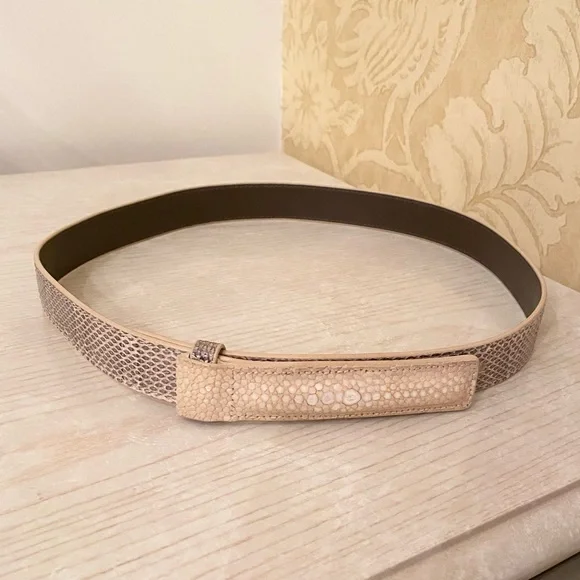 Bottega Veneta | Accessories | Rare Bottega Veneta Snakeskin  display picture 1